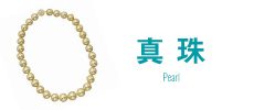 真珠(パール)ロゴ